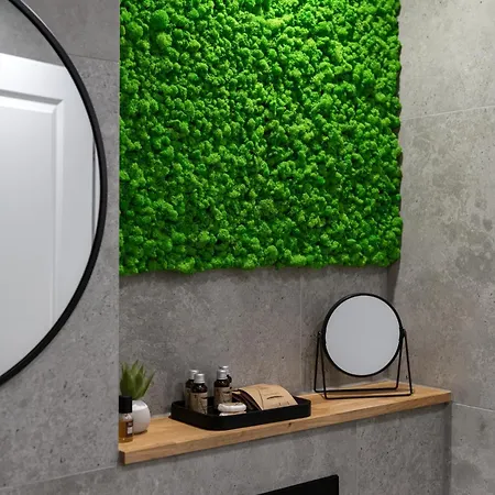 Apartment Moon Cluj-Napoca